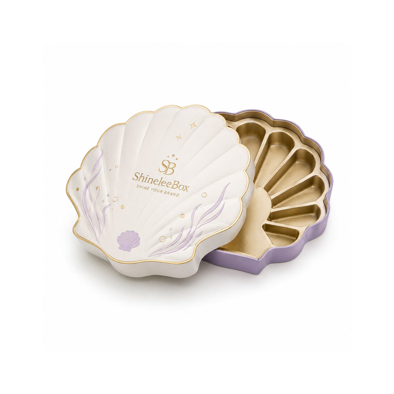 Shell Shaped Gift Box