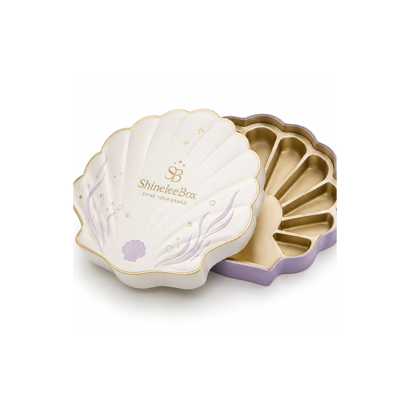 Shell Shaped Gift Box Thumbnail 4