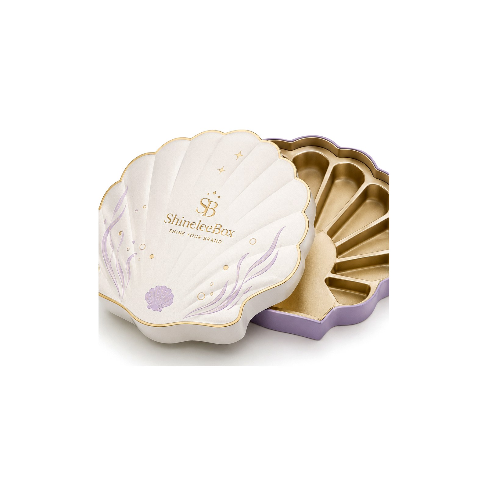 Shell Shaped Gift Box Thumbnail 5