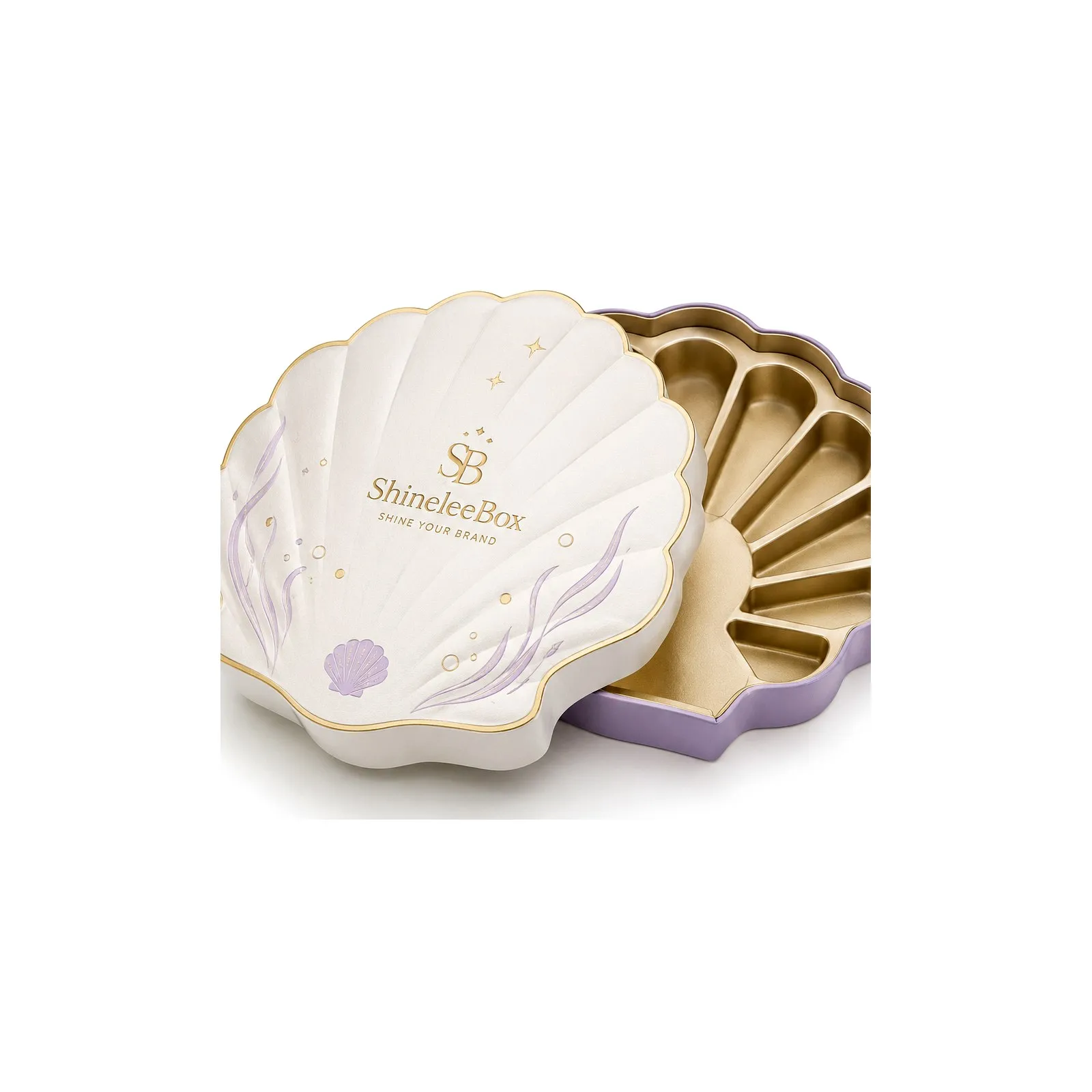 Shell Shaped Gift Box Thumbnail 6