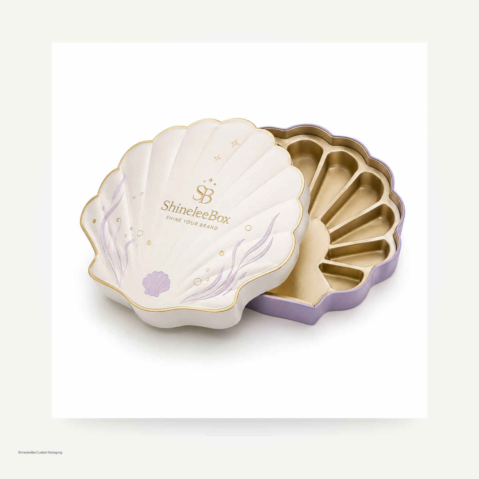 Shell Shaped Gift Box Thumbnail 7
